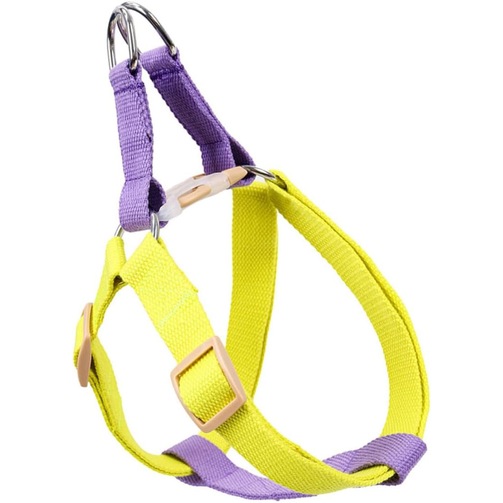 WalkWise™ No-Pull Dog Harness & Leash Set