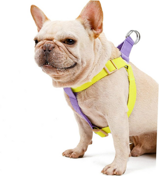 WalkWise™ No-Pull Dog Harness & Leash Set