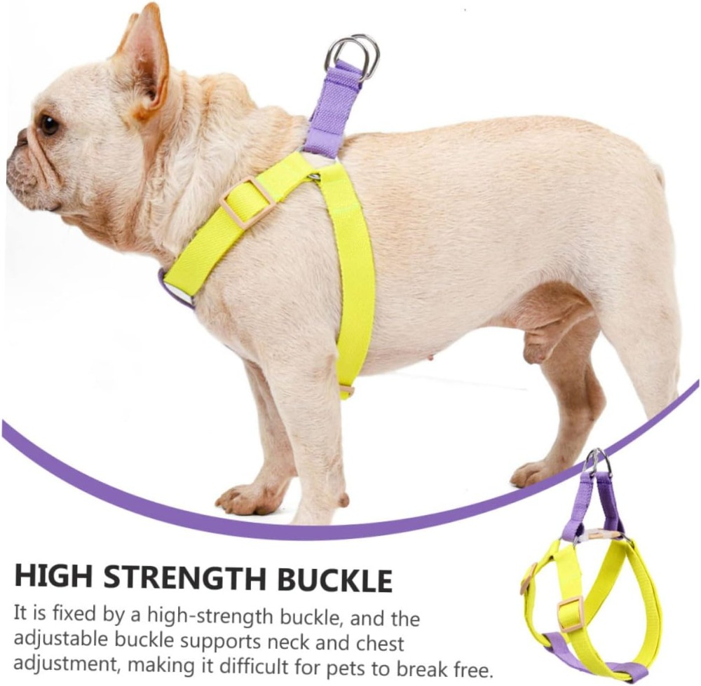 WalkWise™ No-Pull Dog Harness & Leash Set
