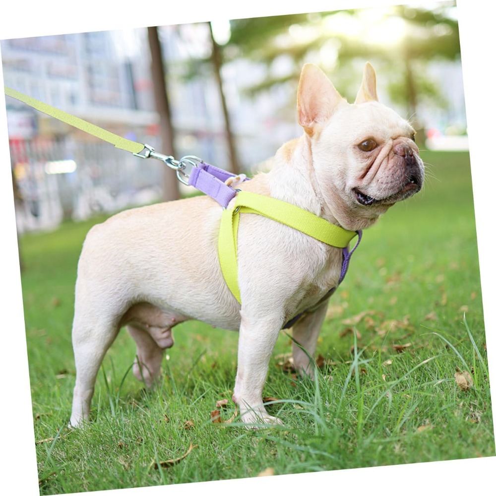 WalkWise™ No-Pull Dog Harness & Leash Set